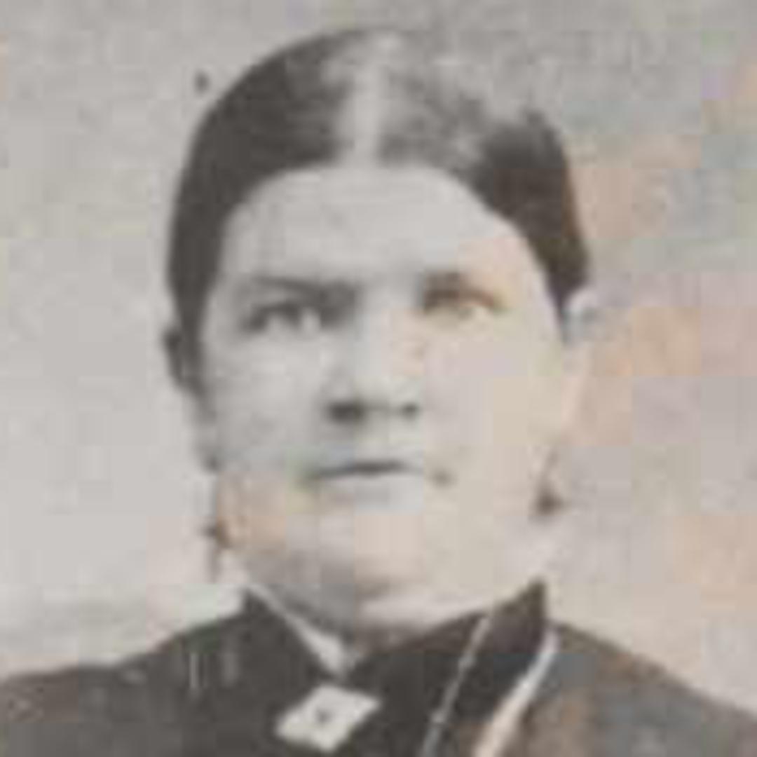 Mary Ann Johnson (1845 - 1898) Profile
